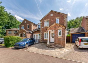 4 Bedroom  for rent