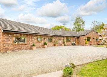 Thumbnail 4 bed bungalow for sale in Chapel Lane, Threapwood, Malpas, Cheshire