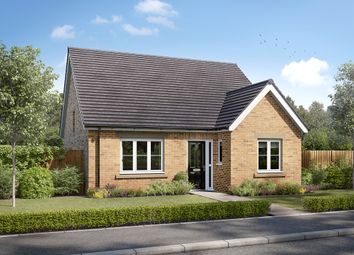 Thumbnail Bungalow for sale in "The Gilby" at Brindle Road, Bamber Bridge, Preston