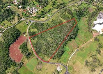 Thumbnail Land for sale in 238 New Wales, Jamaica