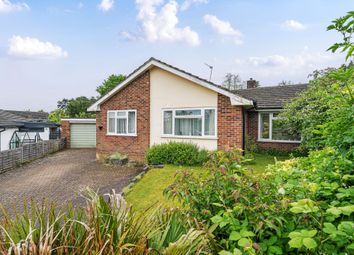 Thumbnail Bungalow for sale in Lynch Close, Winchester
