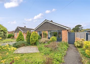 Thumbnail 3 bed bungalow for sale in Pinewood Road, Hordle, Lymington, Hampshire