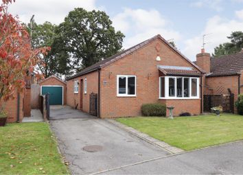 Thumbnail 3 bed detached bungalow for sale in Godwins Way, Stamford Bridge, York