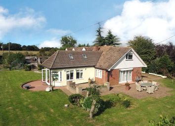 Thumbnail Bungalow for sale in Northampton Road, Stoke Bruerne, Northamptonshire