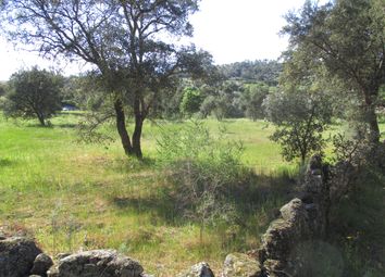 Thumbnail Farm for sale in Idanha-A-Nova, Idanha-A-Nova, Castelo Branco, Central Portugal