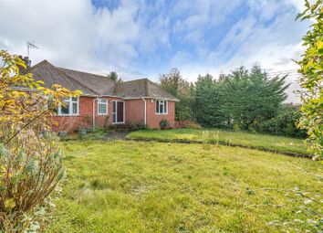 Thumbnail Detached bungalow for sale in Old Kennels Lane, Winchester
