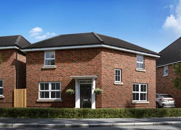 Curborough Fields Langham Plot 75