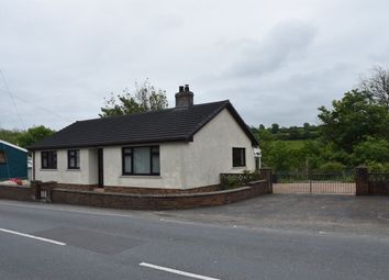 Thumbnail Detached bungalow to rent in Penrhiwllan, Llandysul