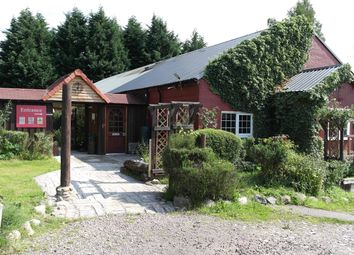 Thumbnail Hotel/guest house for sale in Glenurquhart, Drumnadrochit