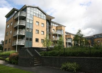1 Bedroom  for rent