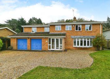 Thumbnail Detached house for sale in The Birches, South Wootton, King's Lynn, Norfolk