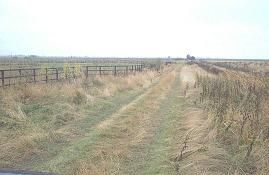 Thumbnail Land for sale in Langwood Hill Drove, Chatteris