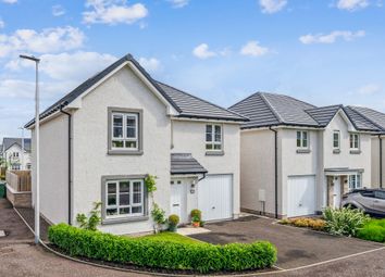 Thumbnail Detached house for sale in Preta Street, Perth, Perthshire