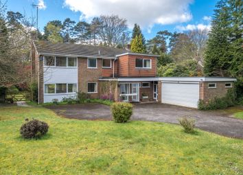 Thumbnail Detached house for sale in Pine Bank, Hindhead