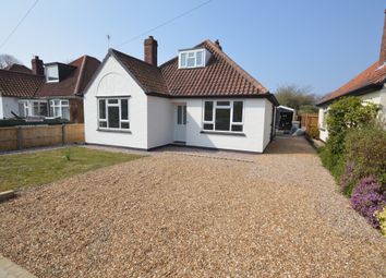 Thumbnail 4 bed detached bungalow to rent in Broom Avenue, Thorpe St. Andrew, Norwich