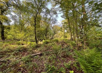 Thumbnail Land for sale in Hensol, Pontyclun, Vale Of Glamorgan