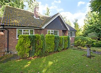 Thumbnail 5 bedroom bungalow for sale in Rotherfield Road, Henley-On-Thames