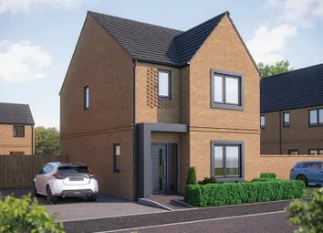 XX0015 [Bh] 01 X308 Cypress Plot 5_Web