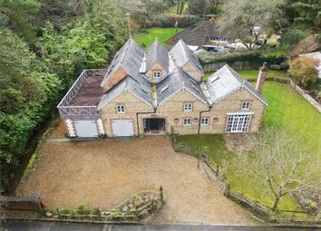 Thumbnail 5 bedroom detached house for sale in Bourne Grove, Lower Bourne, Farnham, Surrey