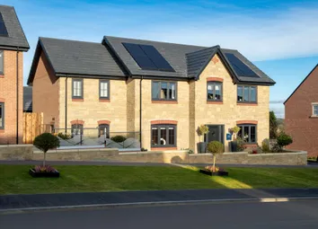 Showhome Photography