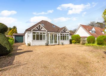 Thumbnail 3 bedroom bungalow for sale in Burntwood Lane, Caterham