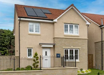 Showhome Photography