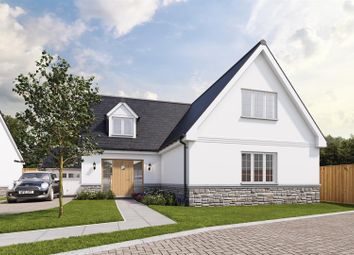 Thumbnail Detached house for sale in The Eira, Maes Y Felin, St. Davids, Haverfordwest