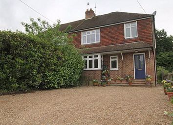 5 Bedroom  for rent