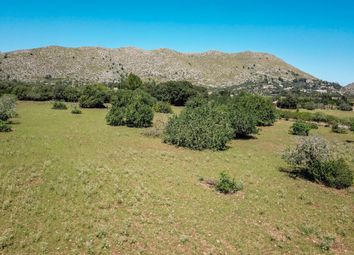 Thumbnail Property for sale in Spain, Mallorca, Pollença