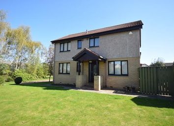 St Andrews - Semi-detached house to rent
