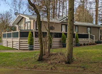 Thumbnail 3 bed lodge for sale in Swarland, Morpeth