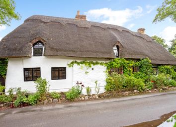 Thumbnail Detached house for sale in The Thatch, Waithe Lane, Brigsley, Grimsby