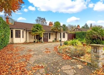 Thumbnail 4 bed detached bungalow for sale in The Gallop, Sutton