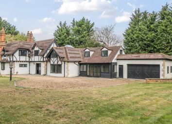 Rear External