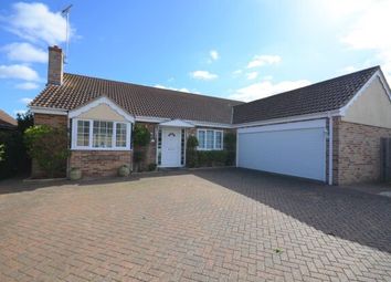 Thumbnail 3 bed bungalow to rent in Wilburton, Ely