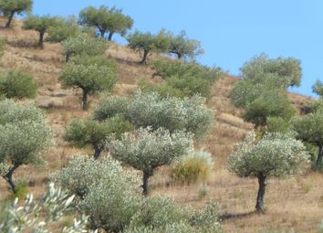 Thumbnail Farm for sale in Portugal, Barca D'alva, Figueira De C. R., Escalhão, Figueira De Castelo Rodrigo, Guarda, Central Portugal