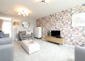 Showhome Photography