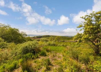 Barr An Taolain Wood, Kilfinan, By Tignhnabruaich, Argyll And Bute PA21. Sub image 1. Plot Of Land