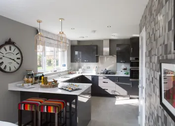 Showhome Photography
