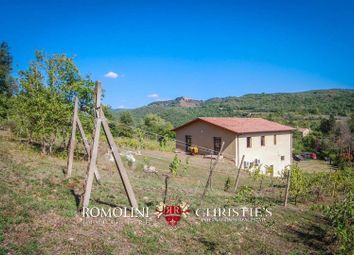 Thumbnail Detached house for sale in Orvieto, 05018, Italy