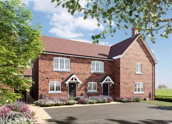 Nmacc_Bovis_Hawthorn_CGI_001