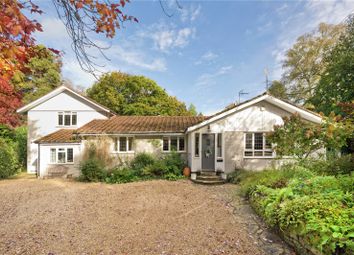 Thumbnail Detached house for sale in Kiln Way, Grayshott, Hindhead, Surrey