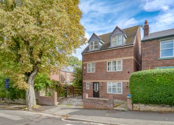 Thumbnail Detached house for sale in Upper Albert Road, Sheffield