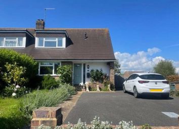 Thumbnail Semi-detached house to rent in The Avenue, Shoreham-By-Sea