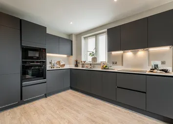 Maxima, Apartment 245