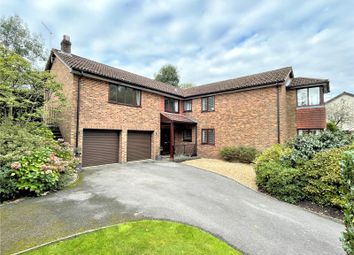 Thumbnail 5 bed detached house for sale in Normandy Way, Fordingbridge, Hampshire