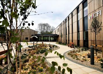 Thumbnail Serviced office to let in Stansfield Park, Quarry Road, Wood Centre For Innovation, Headington, Oxford