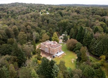 The Dinglewood