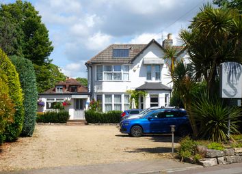 Thumbnail Hotel/guest house for sale in Southernhay Guest House, 42 Alum Chine Road, Bournemouth