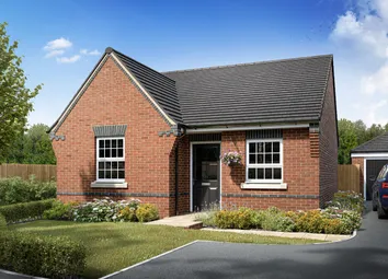 Belton Detached Saxongreen Plot 8